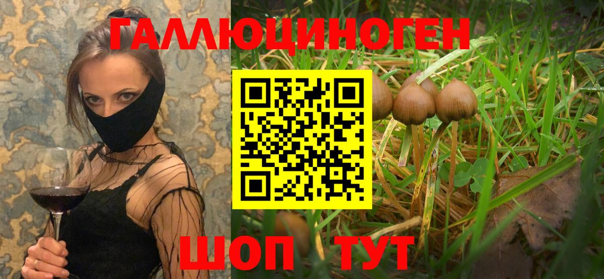 Шахты  Галлюциногенные грибы Magic Shrooms  Вход с VPN 